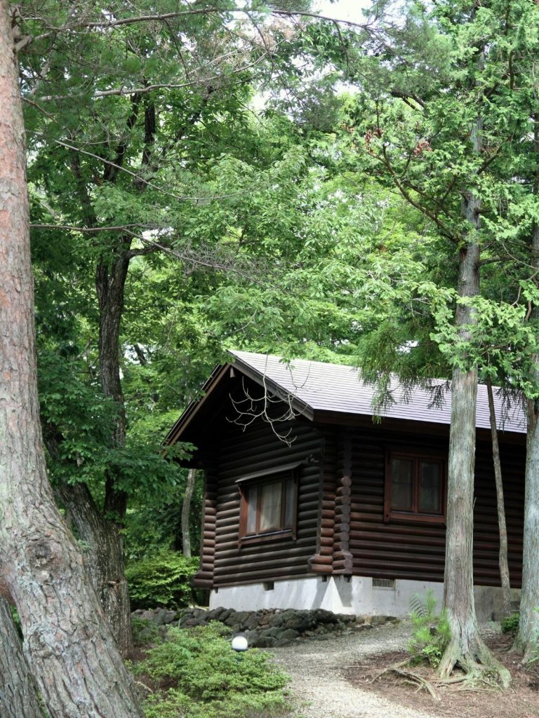 Cozy rustic log home in the forest.