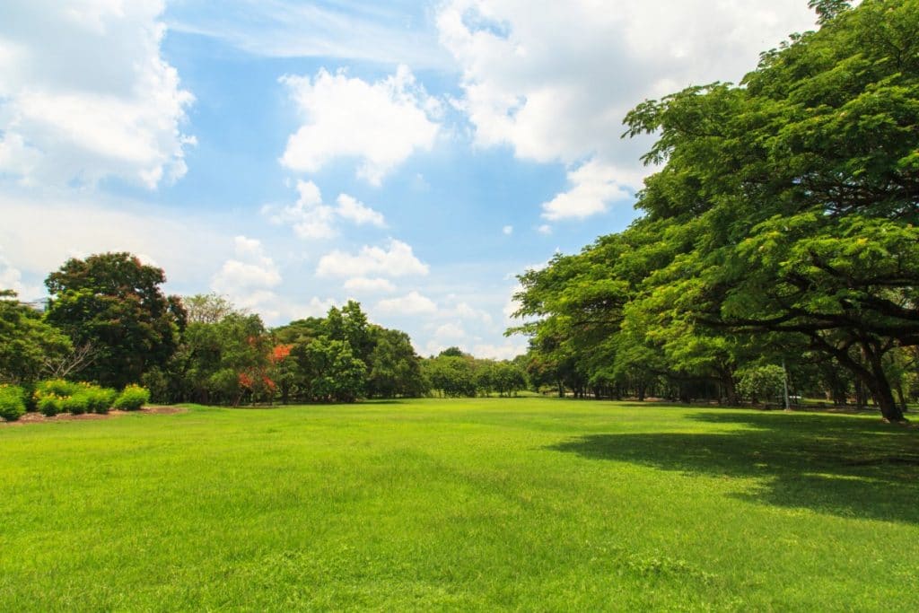 Gorgeous land under blue sky.