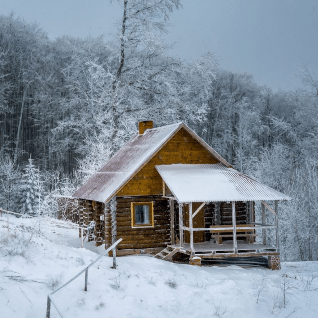 Log home in wintry forest