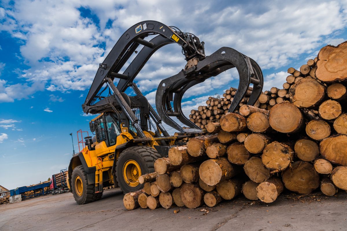 excavator moving logs