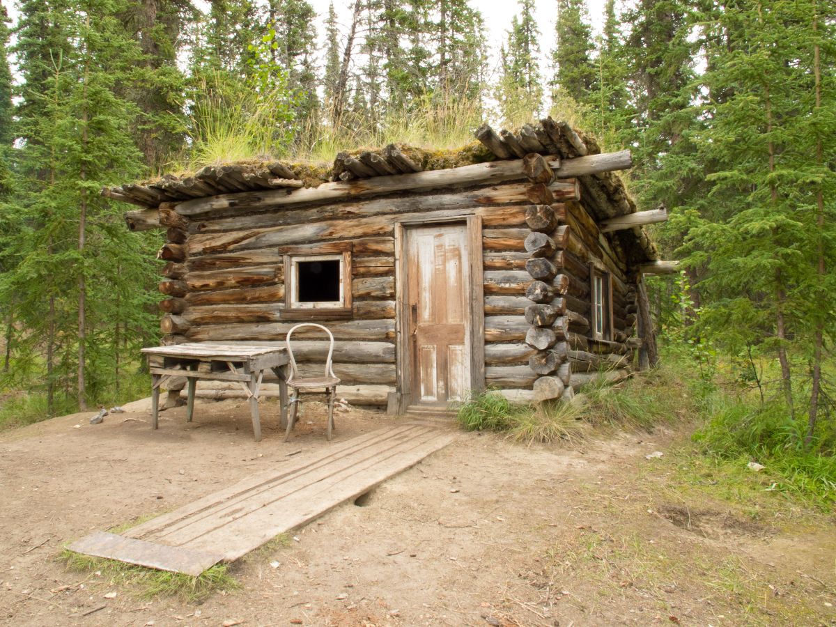 Old Log Cabin in woods