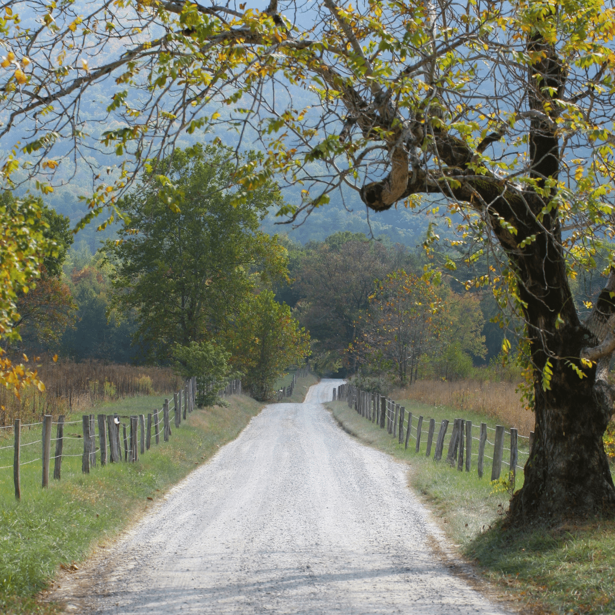 narrow road on countryside