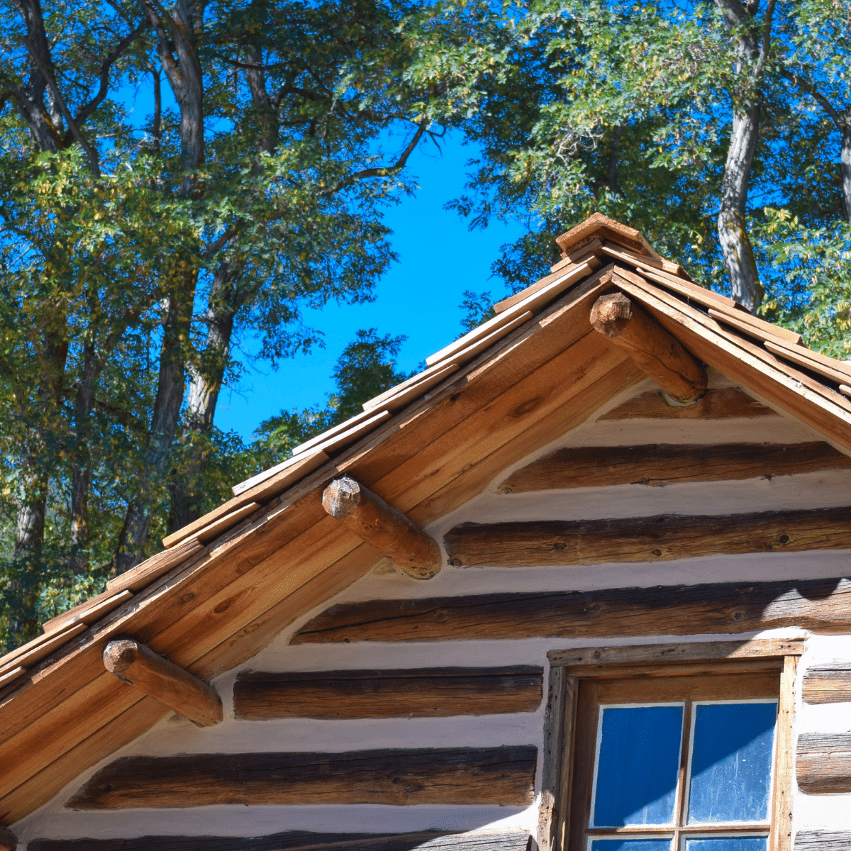 Roof of a Log Home