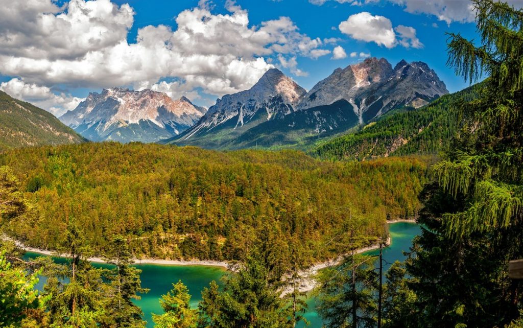 Mountain view river and forest .