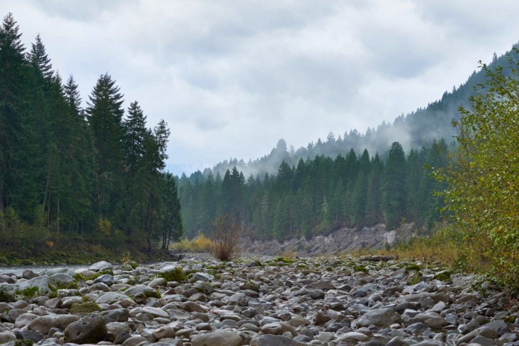 Western mountains view.