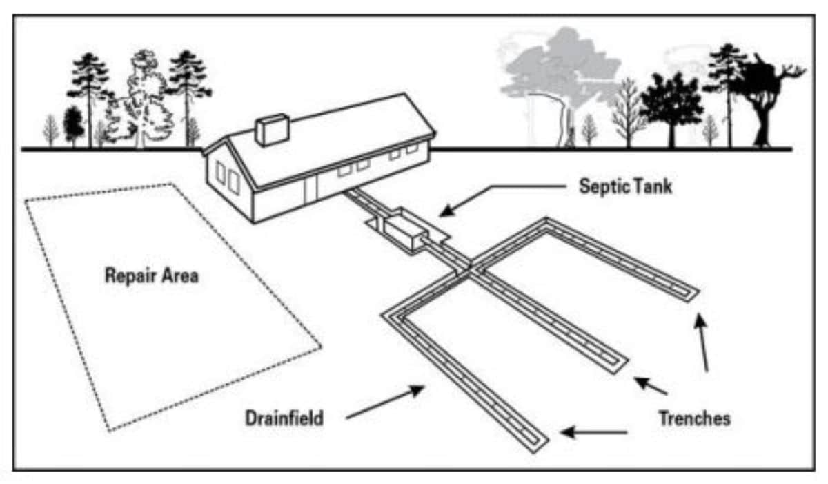 illustration of conventional septic tank system