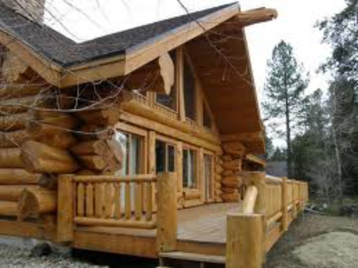 Log cabin in woods