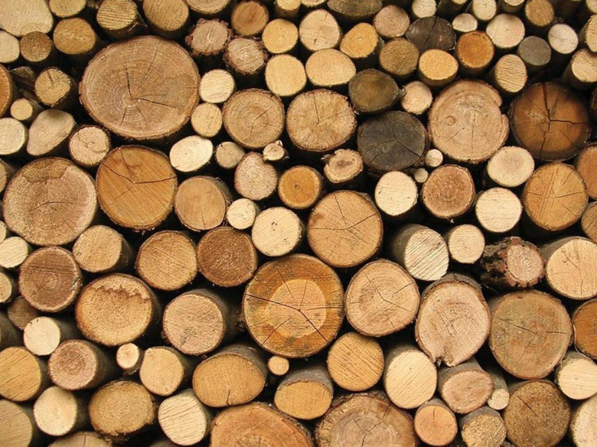 close up of a pile of log ends