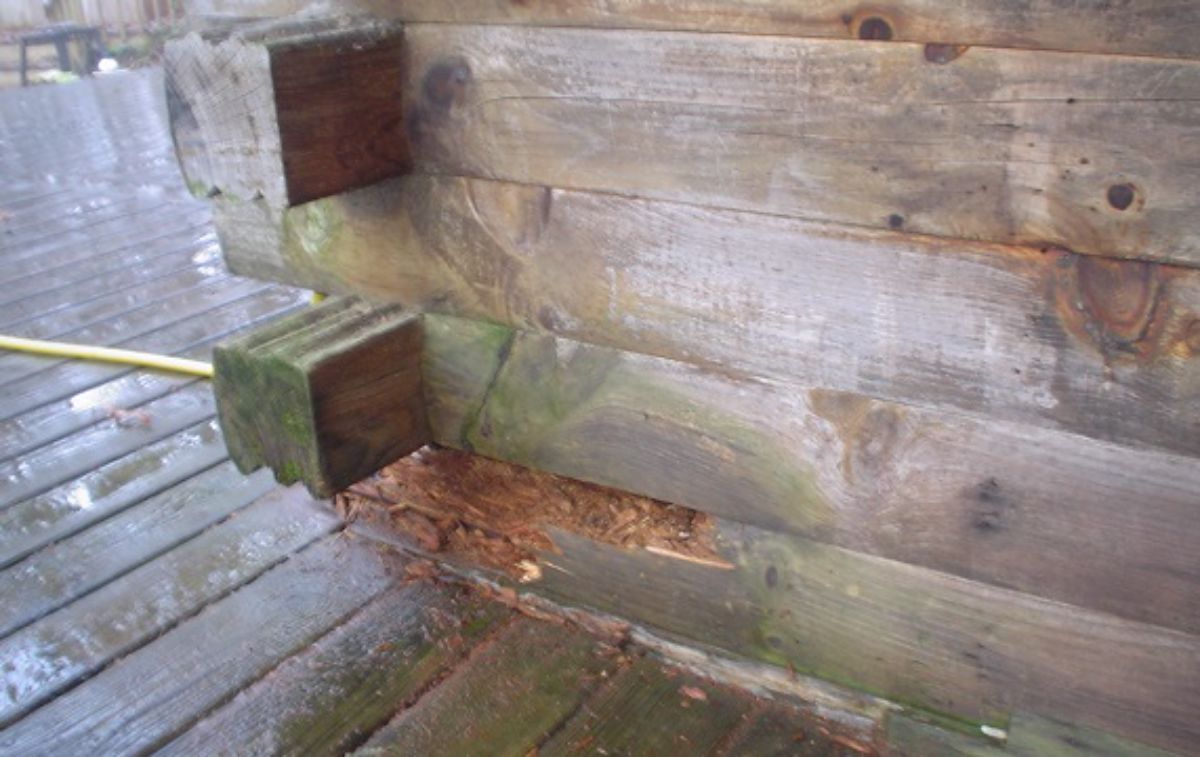 Solidifying rotting wood in a log cabin with Epoxy.