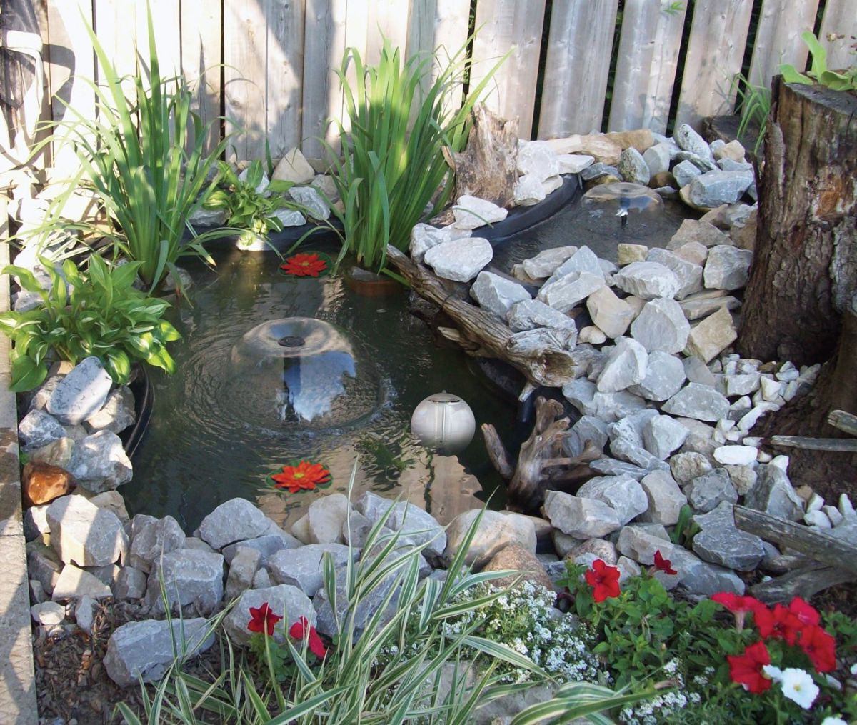 small pond with waterfall