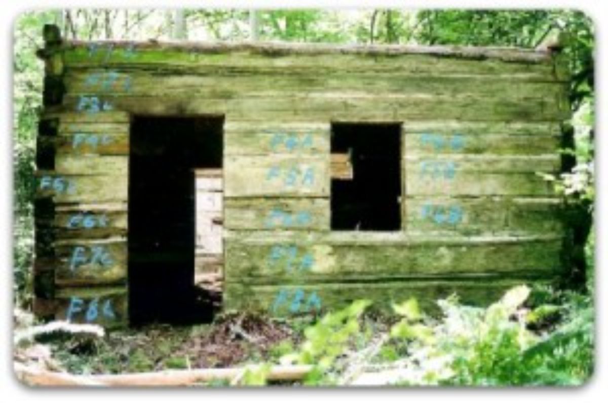 restoring a log cabin heritage