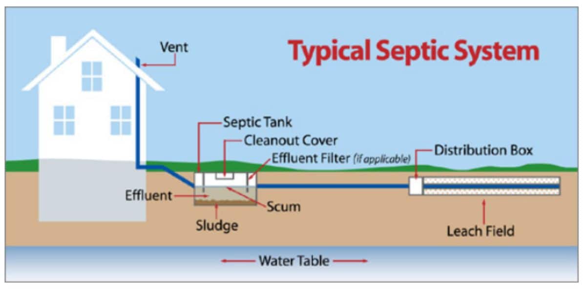 illustration of a typical septic system