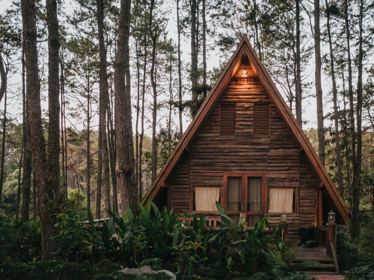 Log Cabin in Woods