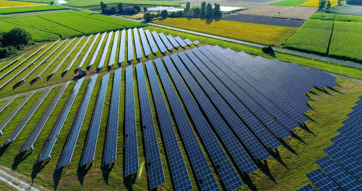Solar Panel farm