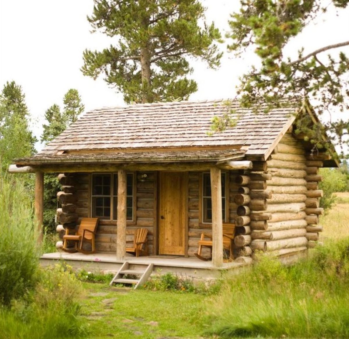 Log cabin in forest