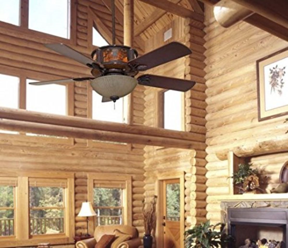 cabin fan with light