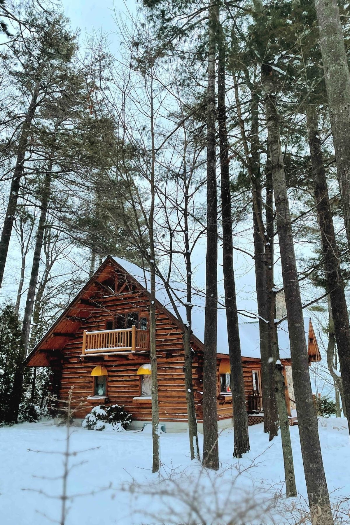 log cabin with lights on in woods