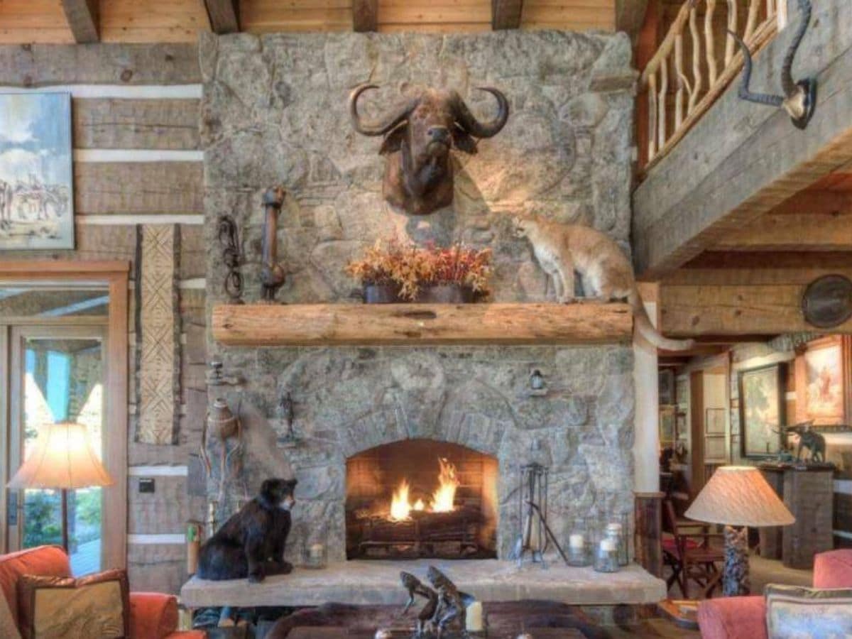 animal head mounted above wood mantle on stone fireplace
