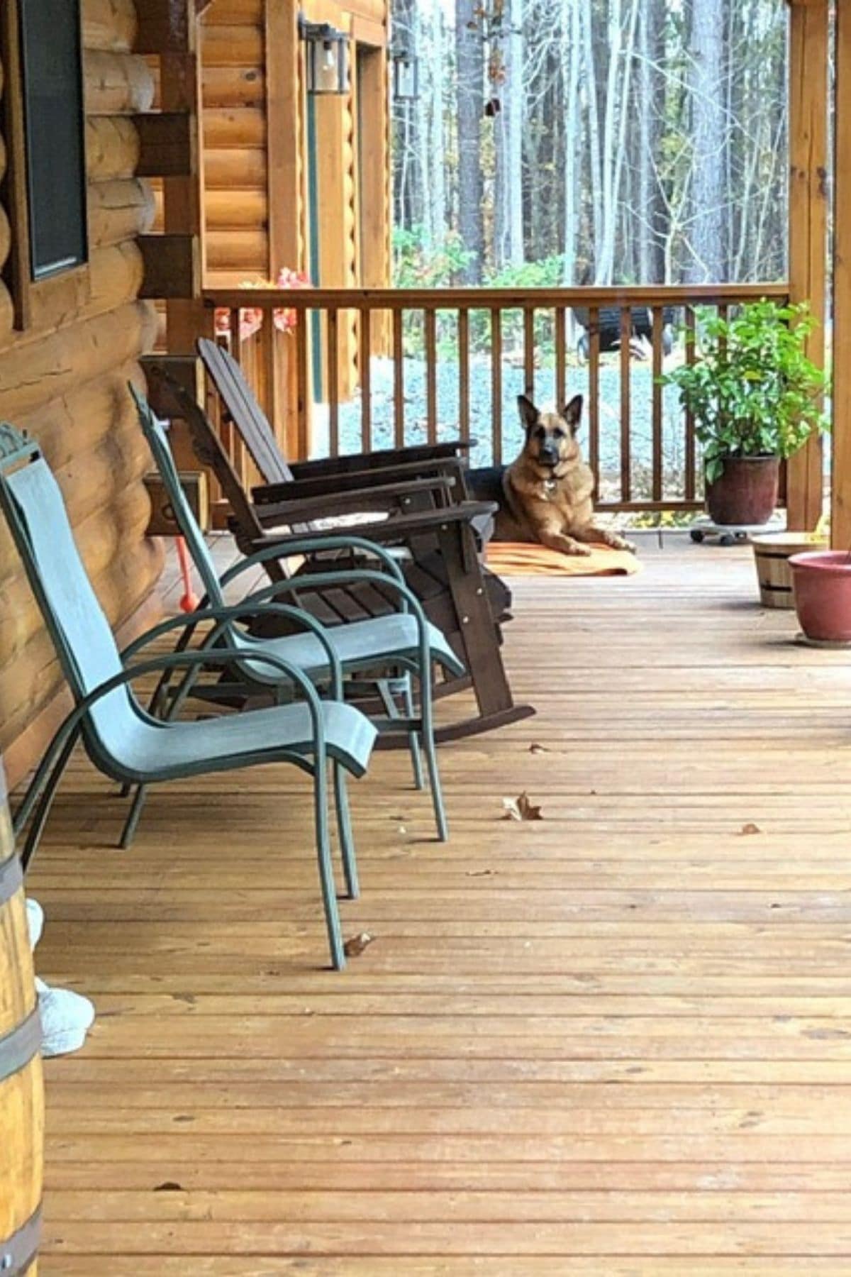 green wire chairs against wall of porch with dog in background