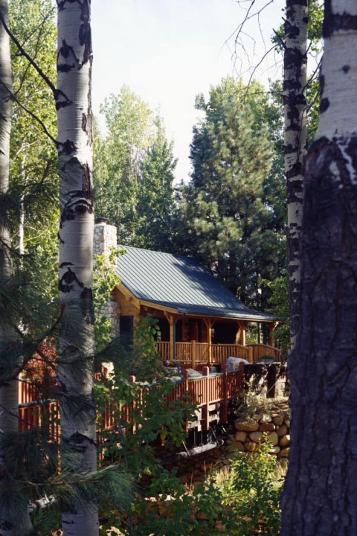 log cabin seen through trees