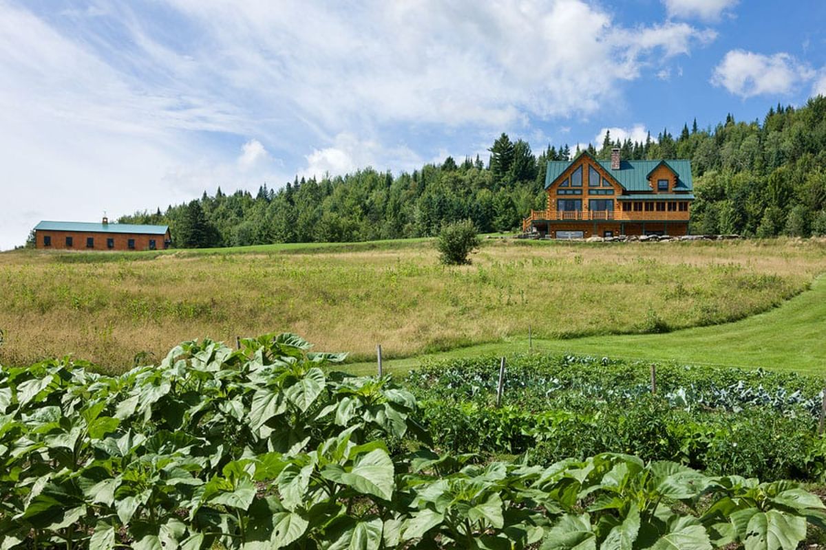 log cabin on hill in background of picture with green shrubs in foreground