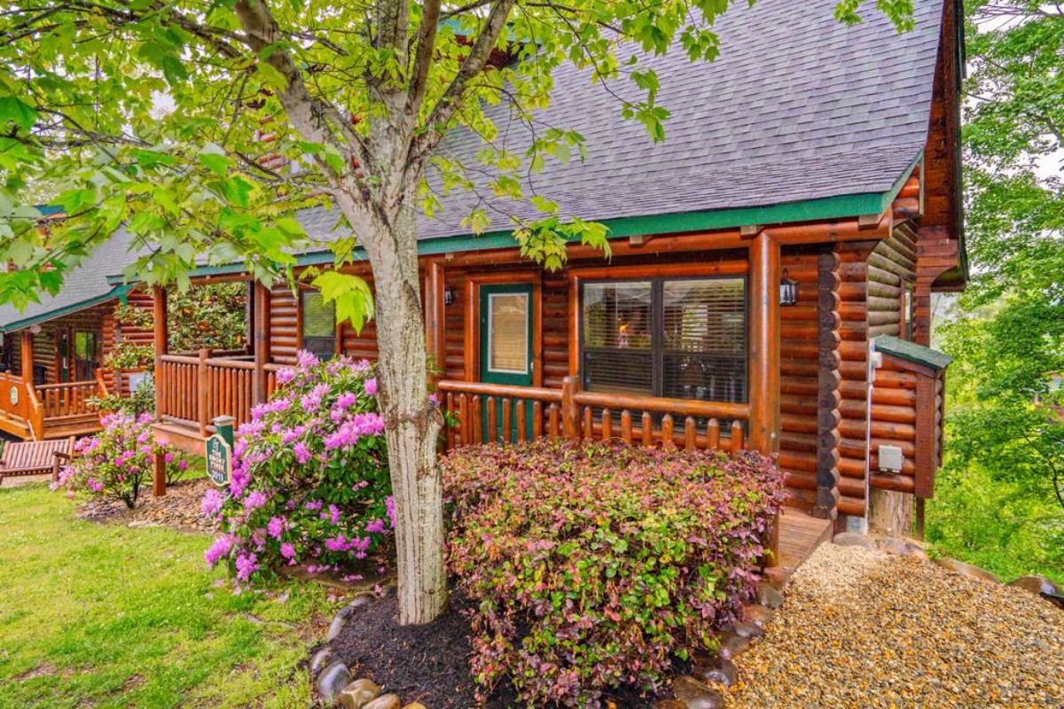 front of log cabin with tree by shrub and green gutters on cabin