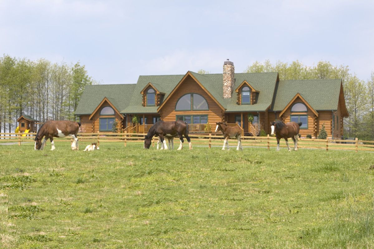 cabin in background with green roof and horses grazing in field in front of home