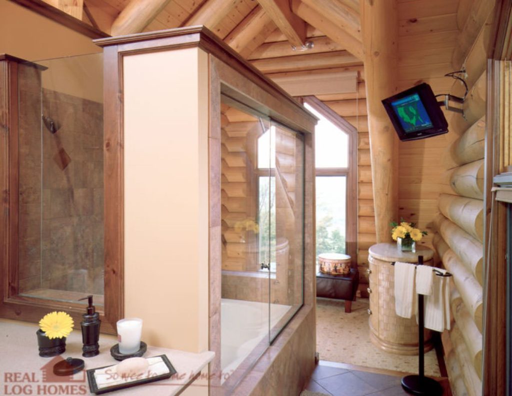 glass door on shower in bathroom of log cabin