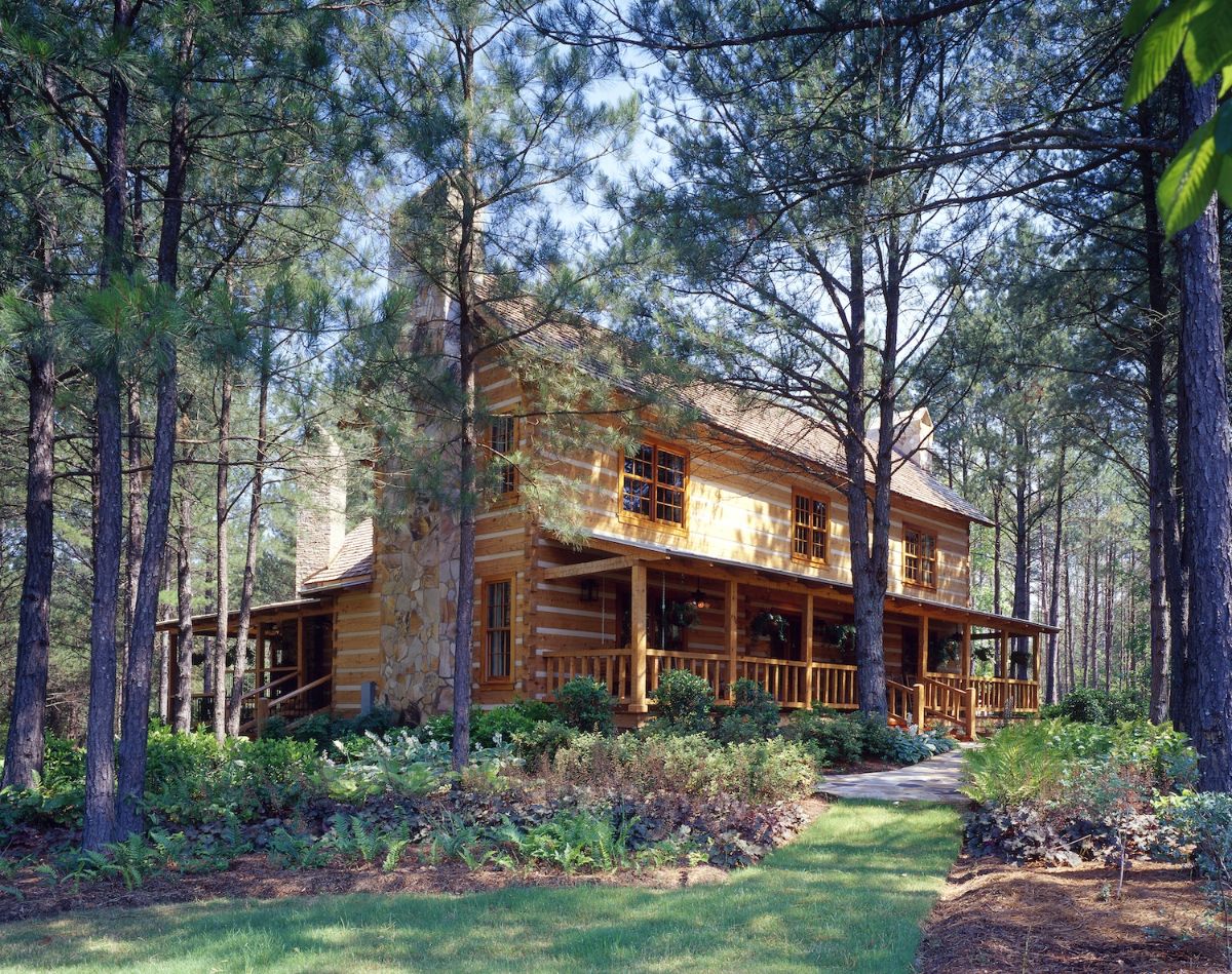light pine walls on log cabin behind tree line