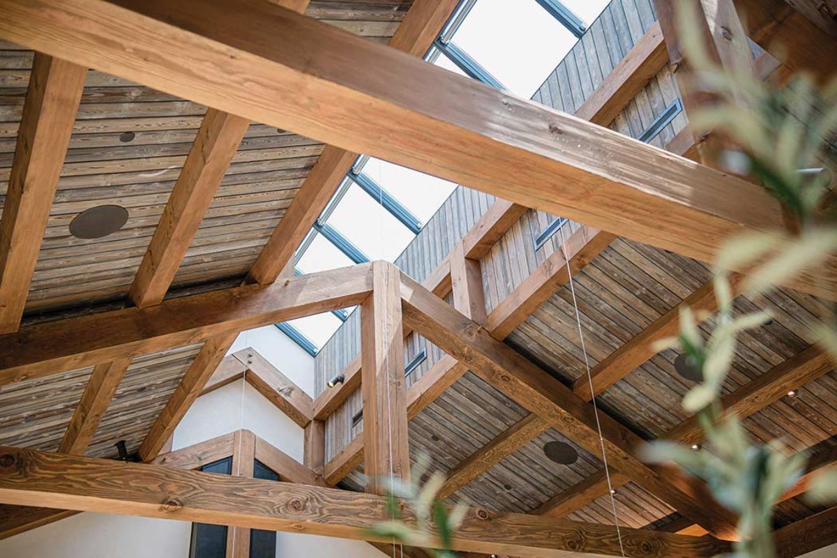 open sunlight above main room of napa cottage