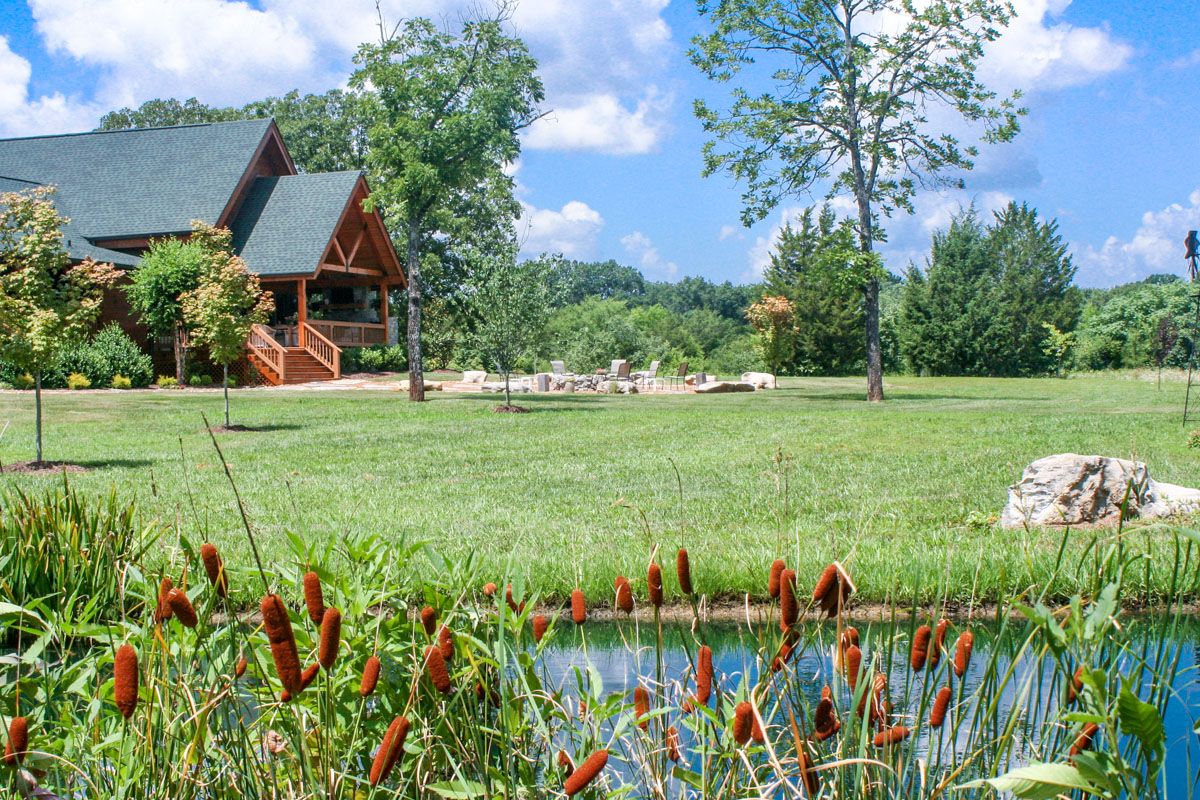 view of cabin across pond with cat tails in foreground