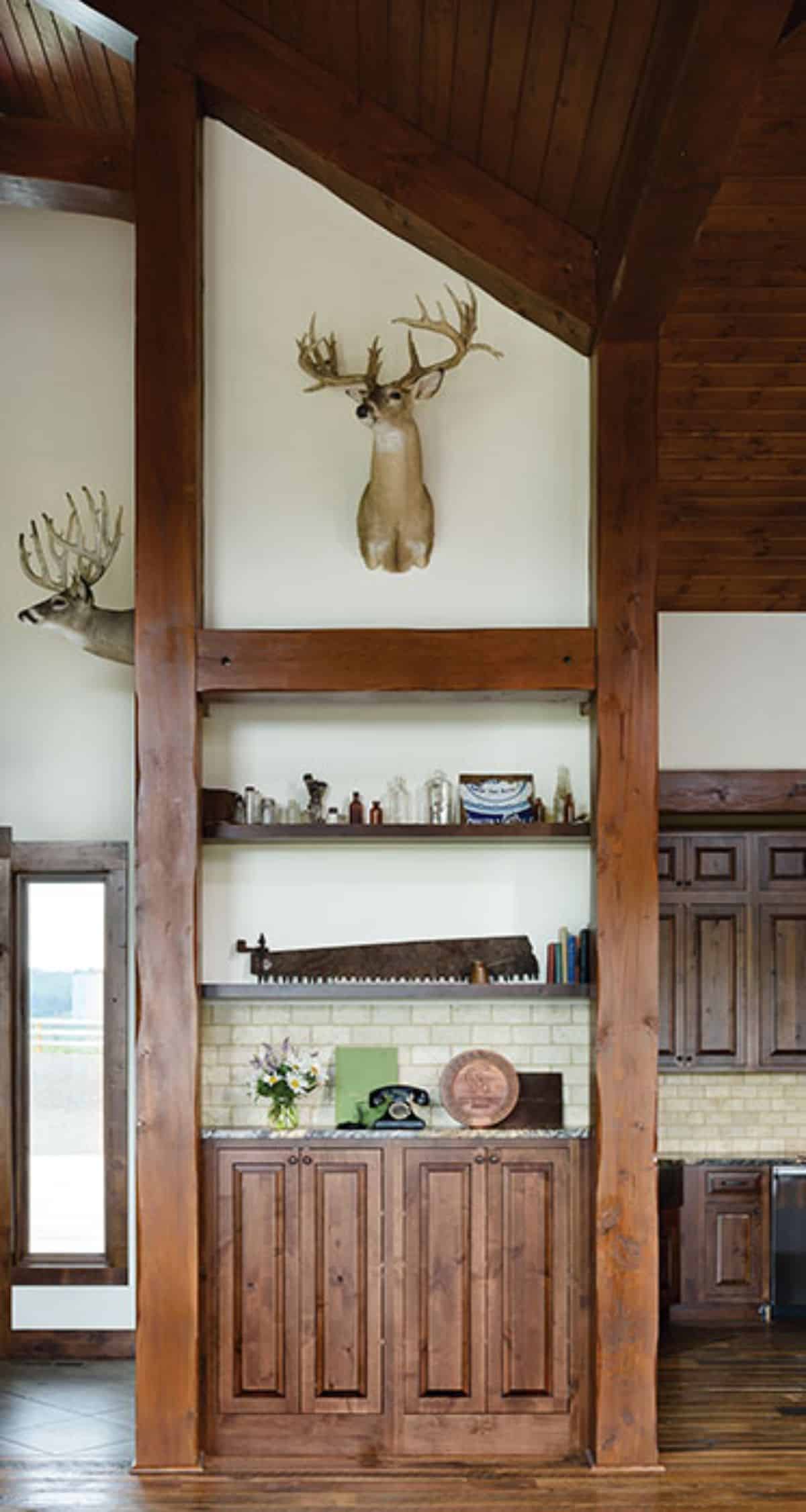 open shelving against white wall with deer head mounted on wall