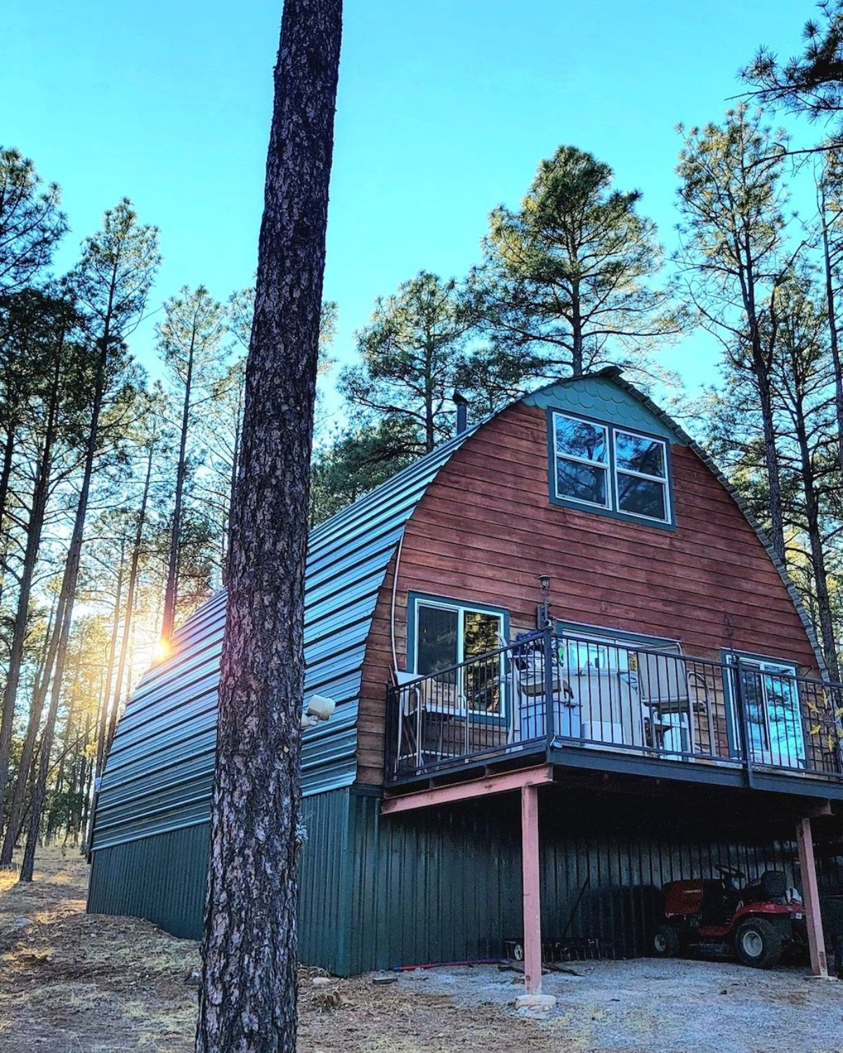 arched cabin with tree in front and corrugated metal roof