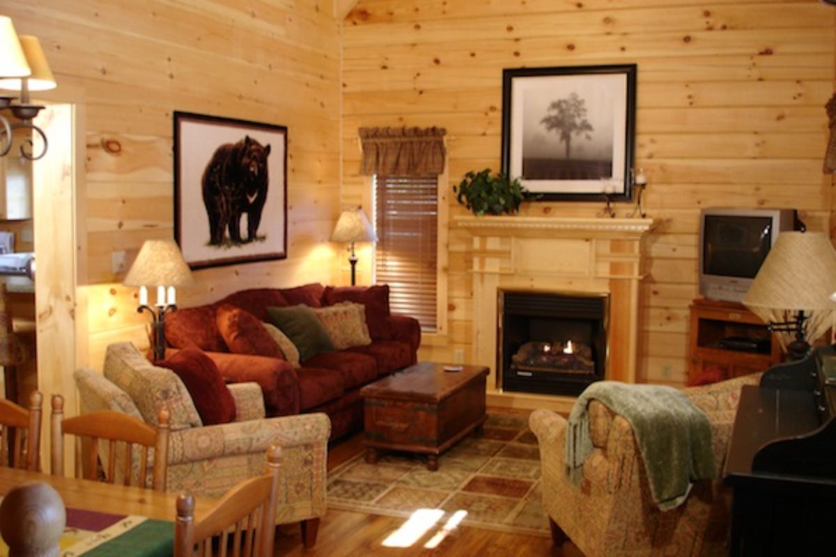 cozy living space with wood fireplace around black stove inset and red sofa under bear picture