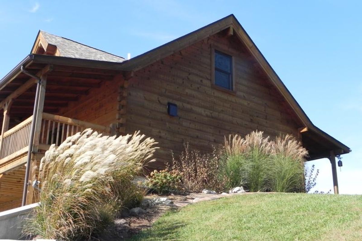 side of log cabin with shrubs against wall