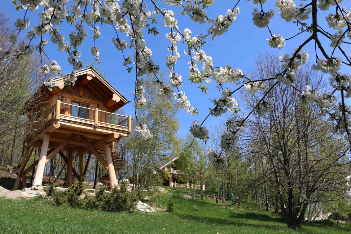 tree house in back yard of log cabin