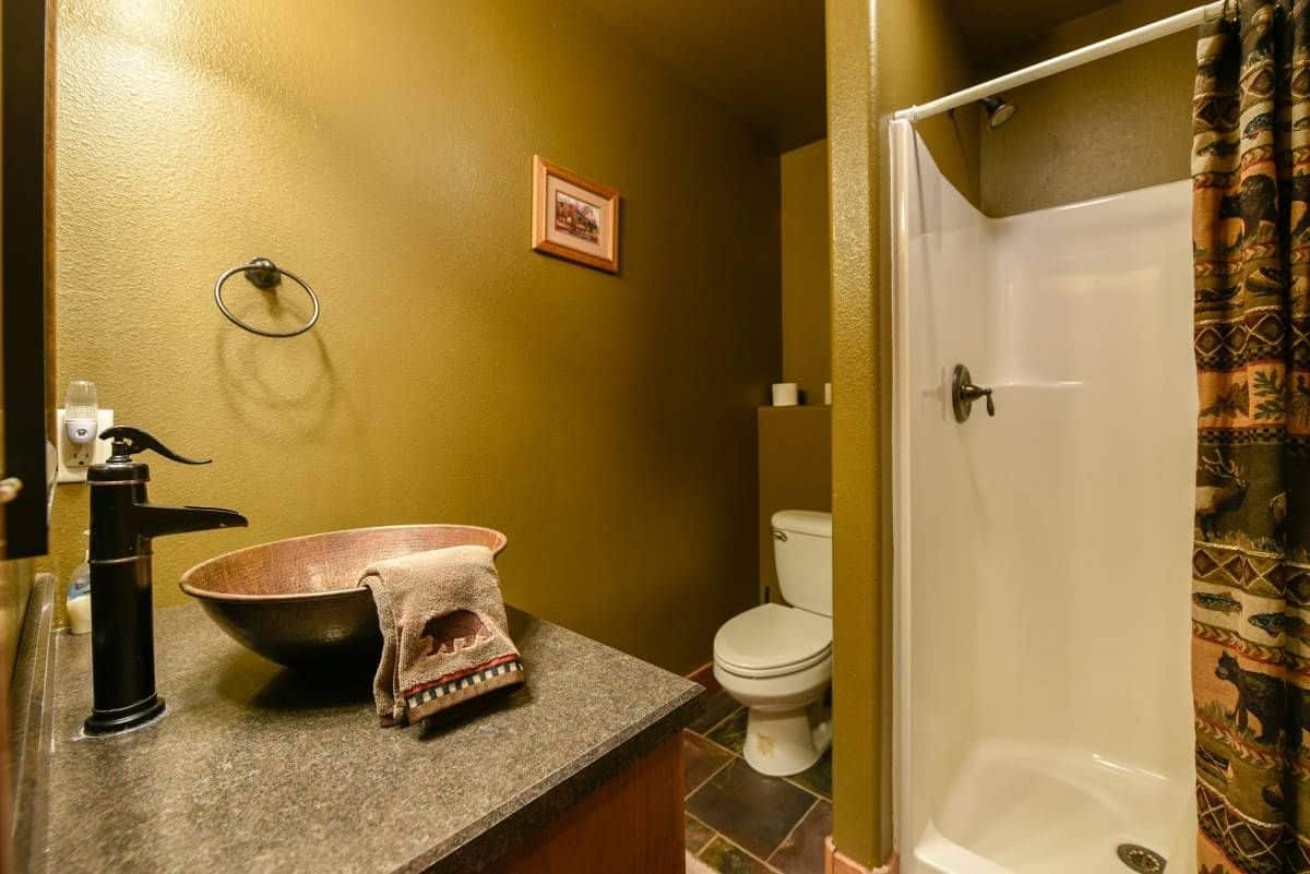 copper bowl sink in bathroom with toilet in nook behind shower