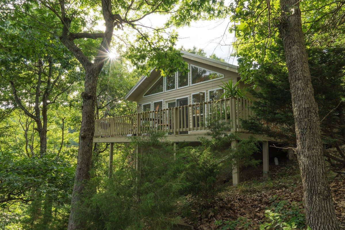 light wood sided cabin behind tree line