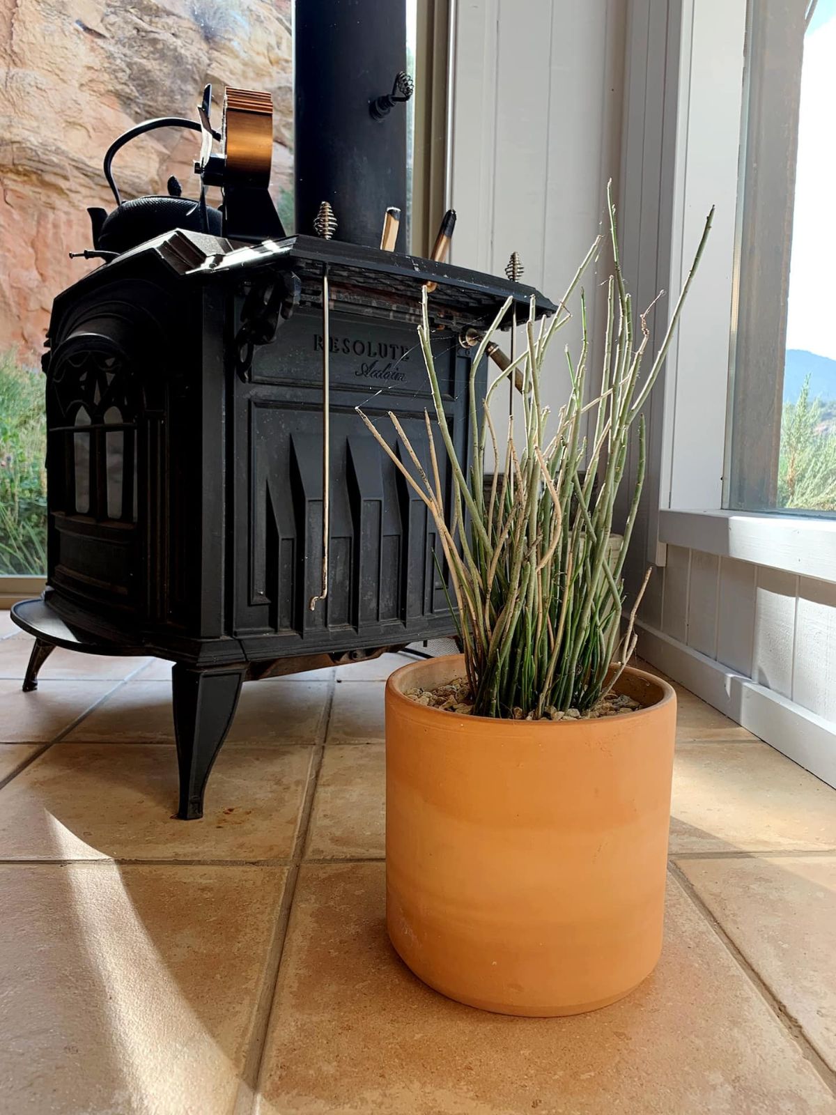 black wood stove on brown tile next to potted plant
