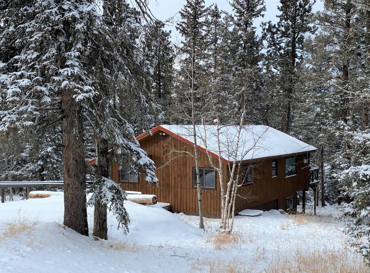 cabin set in woods with snow