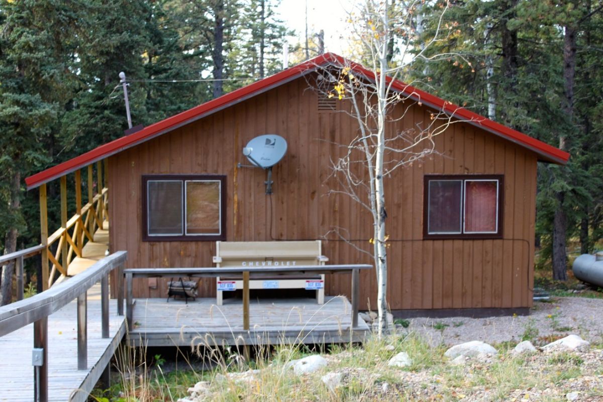 path and back side of cabin