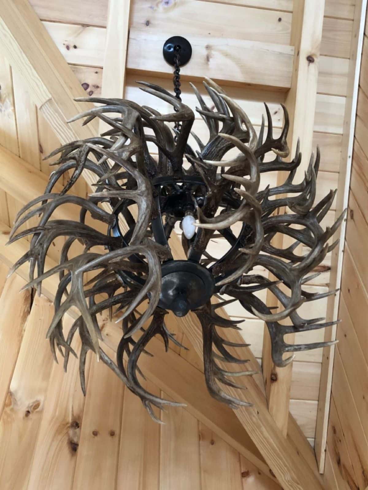 antler chandelier